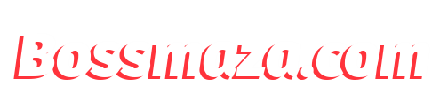 bossmaza.biz